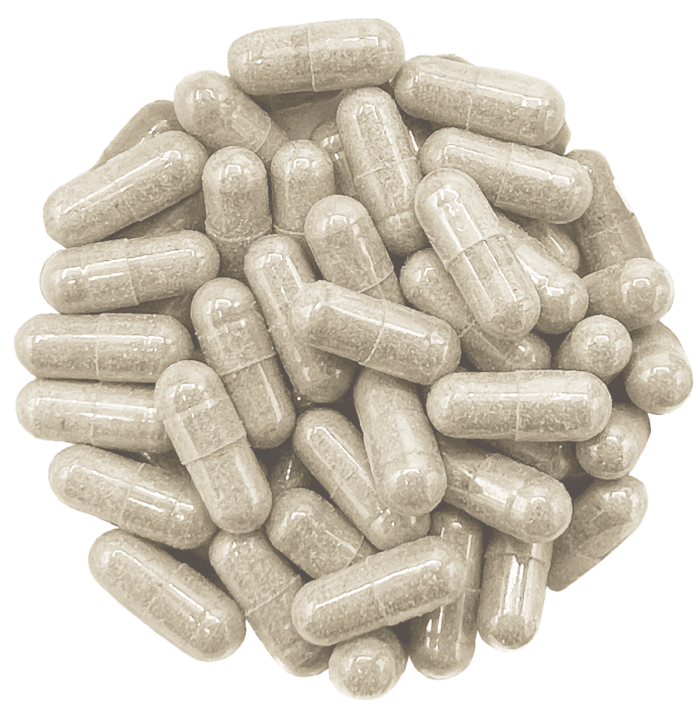 Psilocybin Microdose Capsules